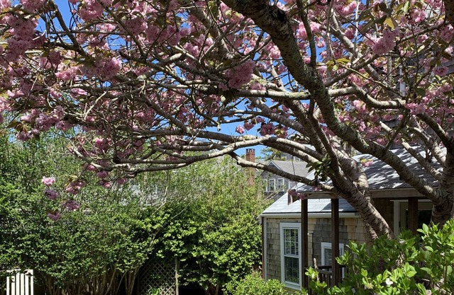 Adorable Cottage on West Dover-Town