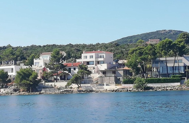 Agava
