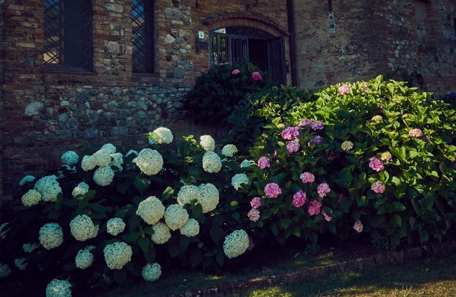 Agriturismo il poderaccio Gaia apartment in Siena