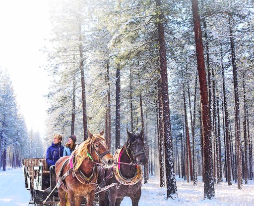 ALL INCLUSIVE THANKSGIVING HOLIDAY - RiverView Ranch Yellowstone Suite