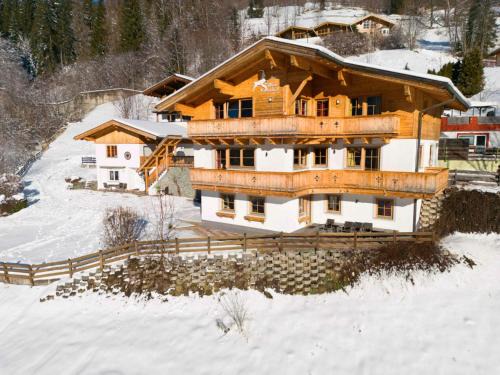 Alpensteinbock Saalbach 