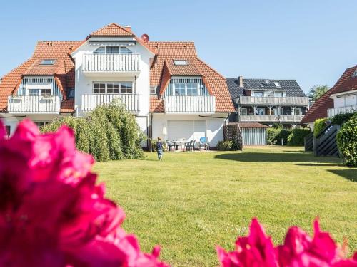 Alte Reihe Silbermöwe 
