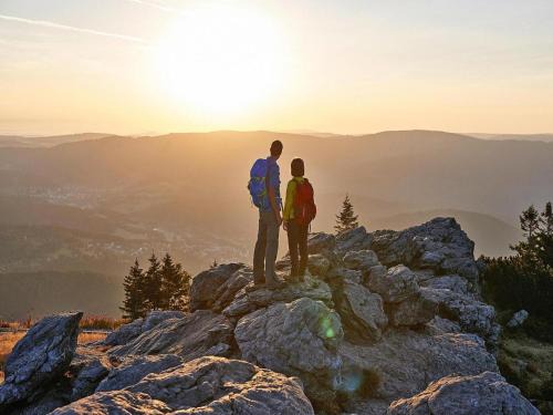 Ferienwohnungen Weberfeld Bodenmais 