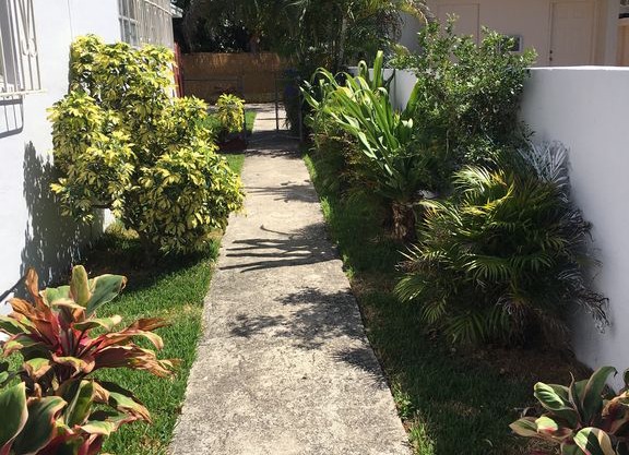Amazing Guest house in West Wynwood.