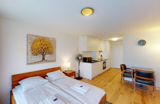 Amazing studio/the city center (Sun 5)