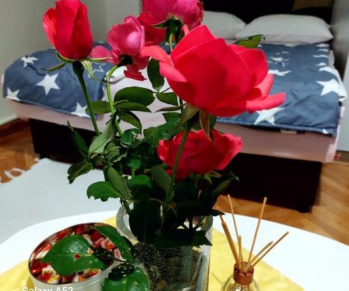 Apartman PAVLE