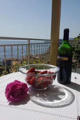 Apartmani Famelja Jovanovic