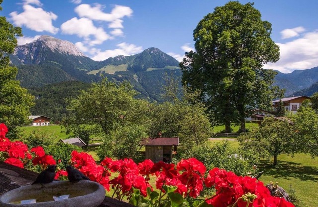 Apartment "2 Apartment mit Gartenblick" with Mountain View, Private Balcony & Wi-Fi