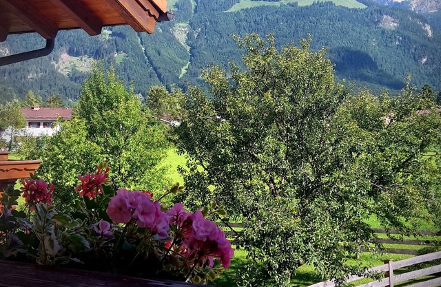 "Apartment Höfler" mountain view for 2-3 people