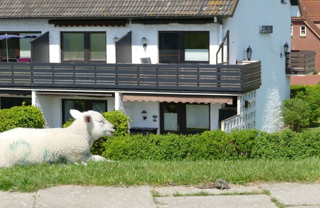 Apartment 'Haus Lith Deichblick' with Sea View, Private Terrace and Wi-Fi