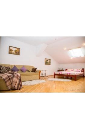 Apartment Kostyushka