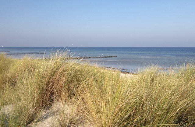 Apartment near Insel Poel