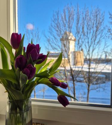 Apartment with Narva Castle view