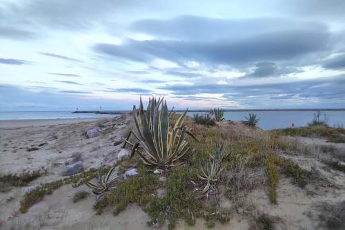 Appartement T2 dans village Naturiste en bord de mer