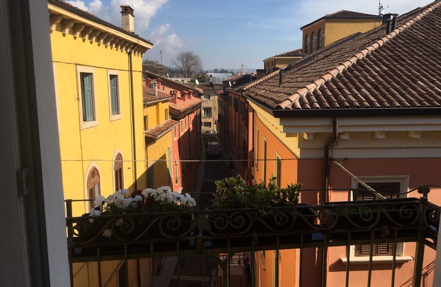Arela Verona Journeys