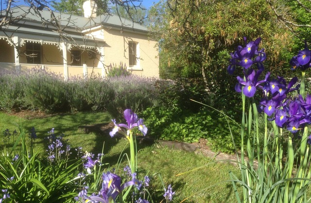 Auntie Eileen's Cottage -A gentle farm experience just a stroll from the village