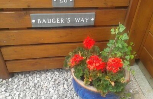 Badger's Way - In The Heart Of The English Lake District - Badger Watching Here
