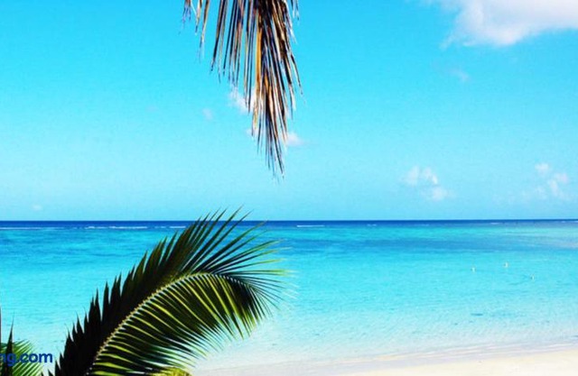 Beach Cove 4