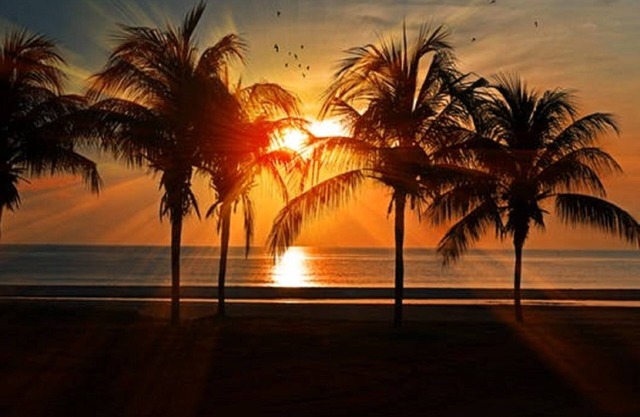 BEACHFRONT VENICE ISLAND CONDO: OLYMPIC POOL, FREE Wi-Fi,- DISCOUNTED LOW RATES