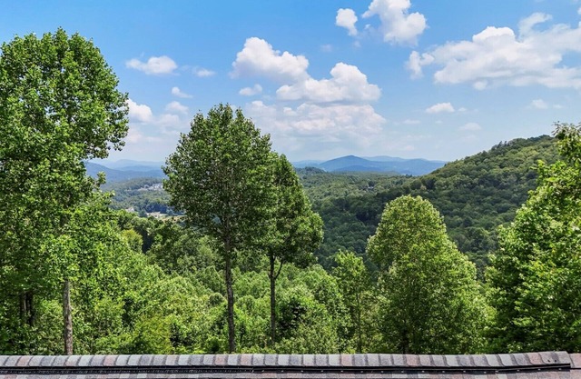 Bear Trail-Open for Bookings! Views, Hot Tub, Pool Table