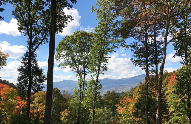Beautiful And Luxurious 4 BR Family Retreat In An Upscale Private Community