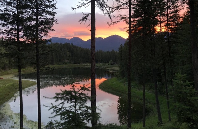 Beautiful, custom-built chalet central to all major attractions in the valley!