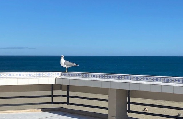 Les Terrasses Du Levant 