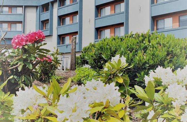 Best Western Plus Renton Inn