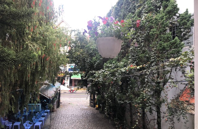 Bich Khue Hotel