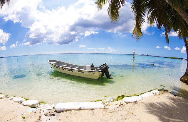Boca del Mar ll