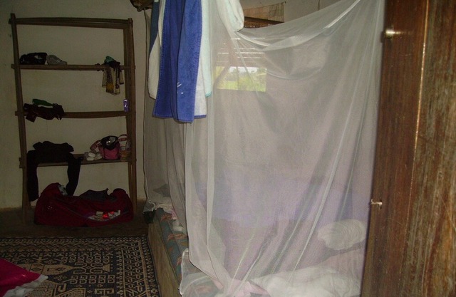 Boxes 7,8 and 9 with private showers for 6 people