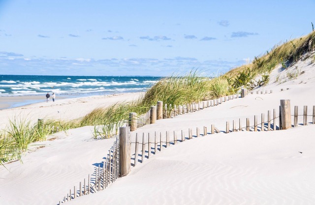 Bright cape cod retreat; steps to White pond, bike path, CAC & fire pit
