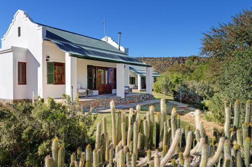 Buccara Karoo - Graaff Reinet