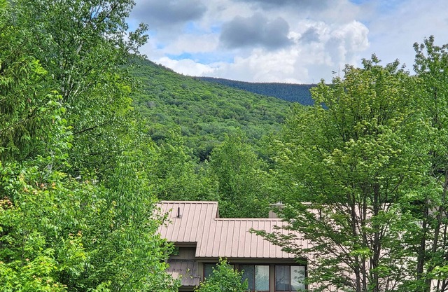 C011E- Managed by Loon Reservation Service - NH Meals & Rooms Lic# 056365