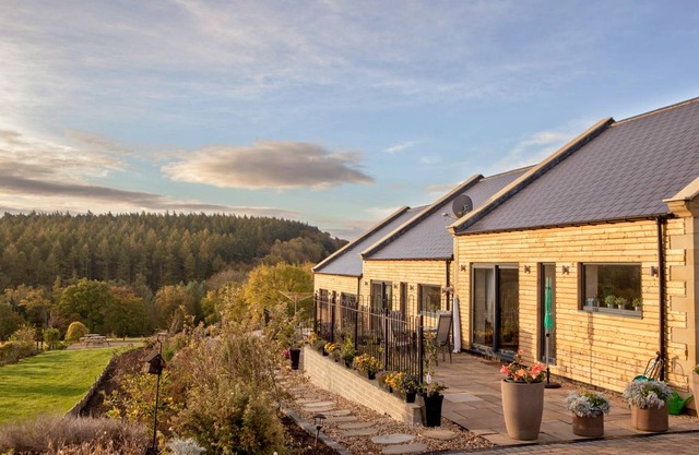 Cabin ∙ 2 bedrooms ∙ 4 guests