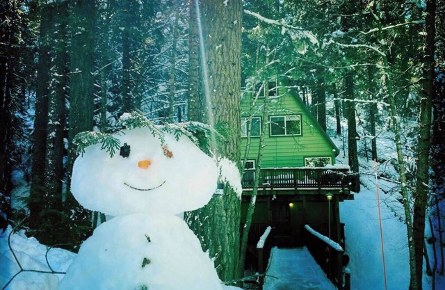 Cabin on the Creek: Dog Friendly