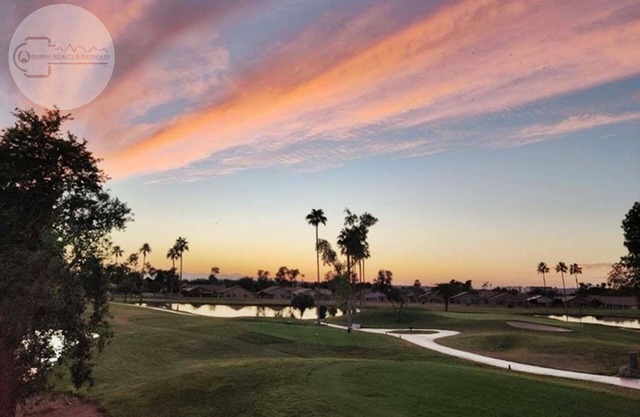 Caddyshack: Where Fun Meets Luxury on the 5th Tee