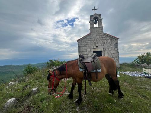 camping and horseback riding Parci