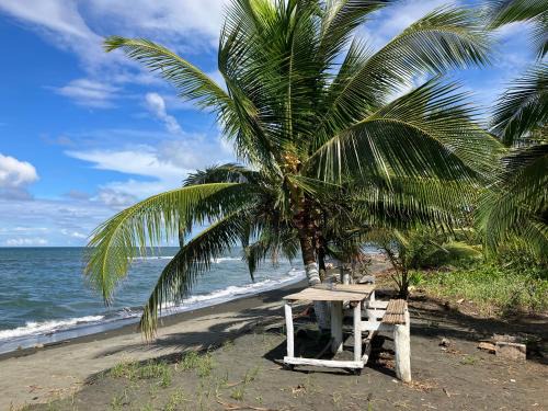 Camping Babsita-TIPI und Hütten und Stellplätze für Zelt und Camper direkt am Meer und See