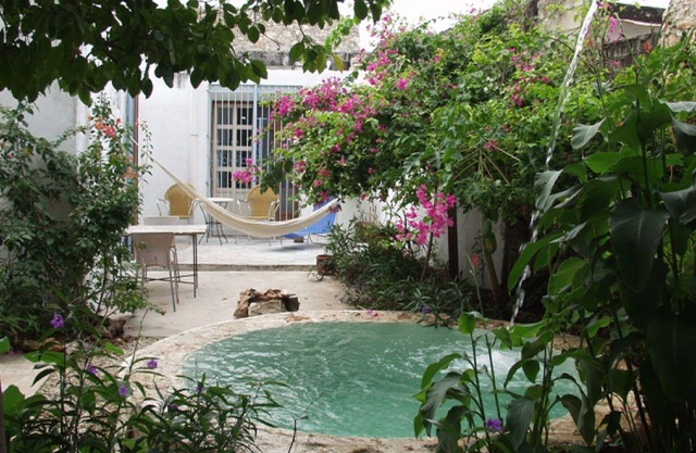 Casa Flora Peaceful Oasis in el centro long term specials!