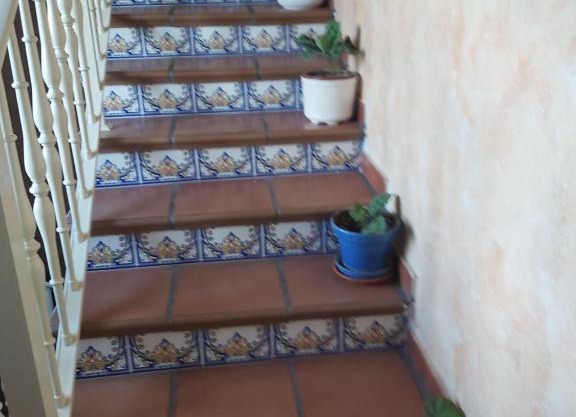 Casa laurel 1