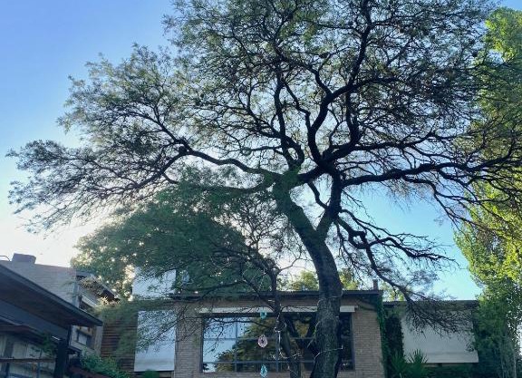 Casa Los Algarrobos