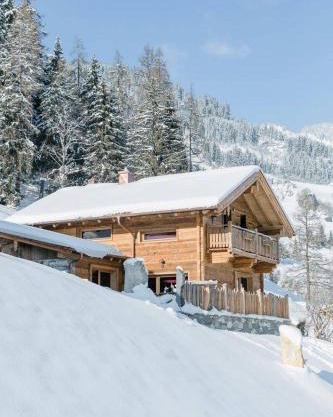 Chalet Wildberg