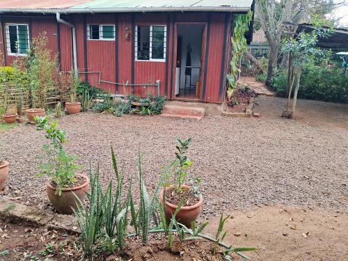 Charming 1-BR Cottage, Karen Nairobi WiFi & Garden
