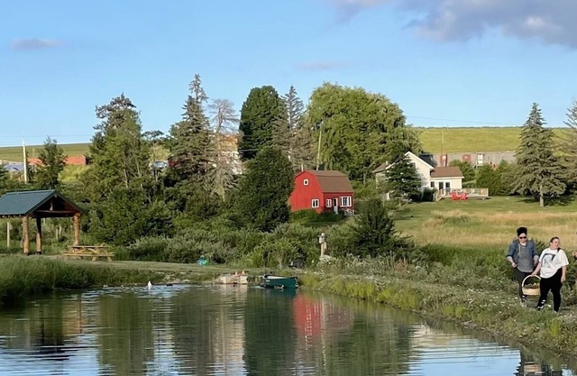 Charming Country Farm Stay with Spectacular Views and Fun!