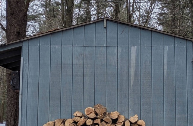 Charming Rustic 3-bedroom cabin in Pocono Pines with WiFi