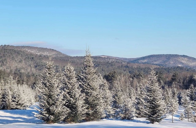 Christmas Tree Farmhouse staywith great view and 16 acres of walking trails