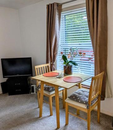 City centre apartment with south facing patio, 10 minutes walk to the harbour