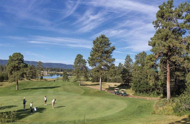 Club Wyndham Pagosa, Pagosa Springs, CO - 2 bedroom condo - full kitchen, washer & dryer in the unit