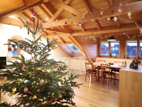 Colmar Friends and Familly guest home - ALL INCLUSIVE - COLMAR Gare - Jardin - Combles et Vous